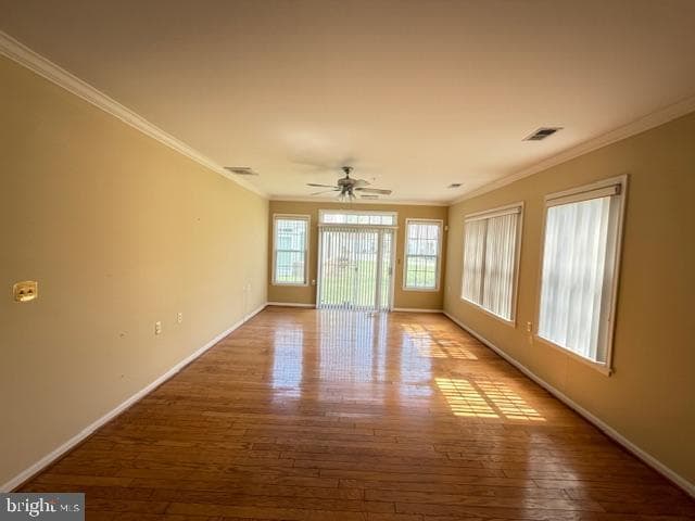 13506 Missoula Court photo 7