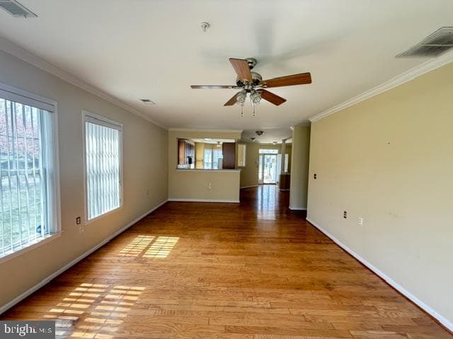 13506 Missoula Court photo 8