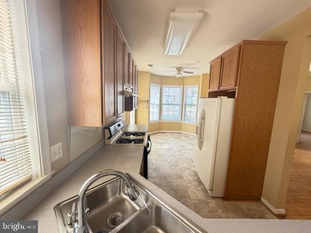 13506 Missoula Court photo 9