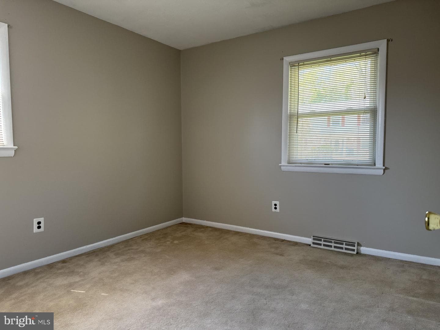 10106 Kathleen Drive photo 24