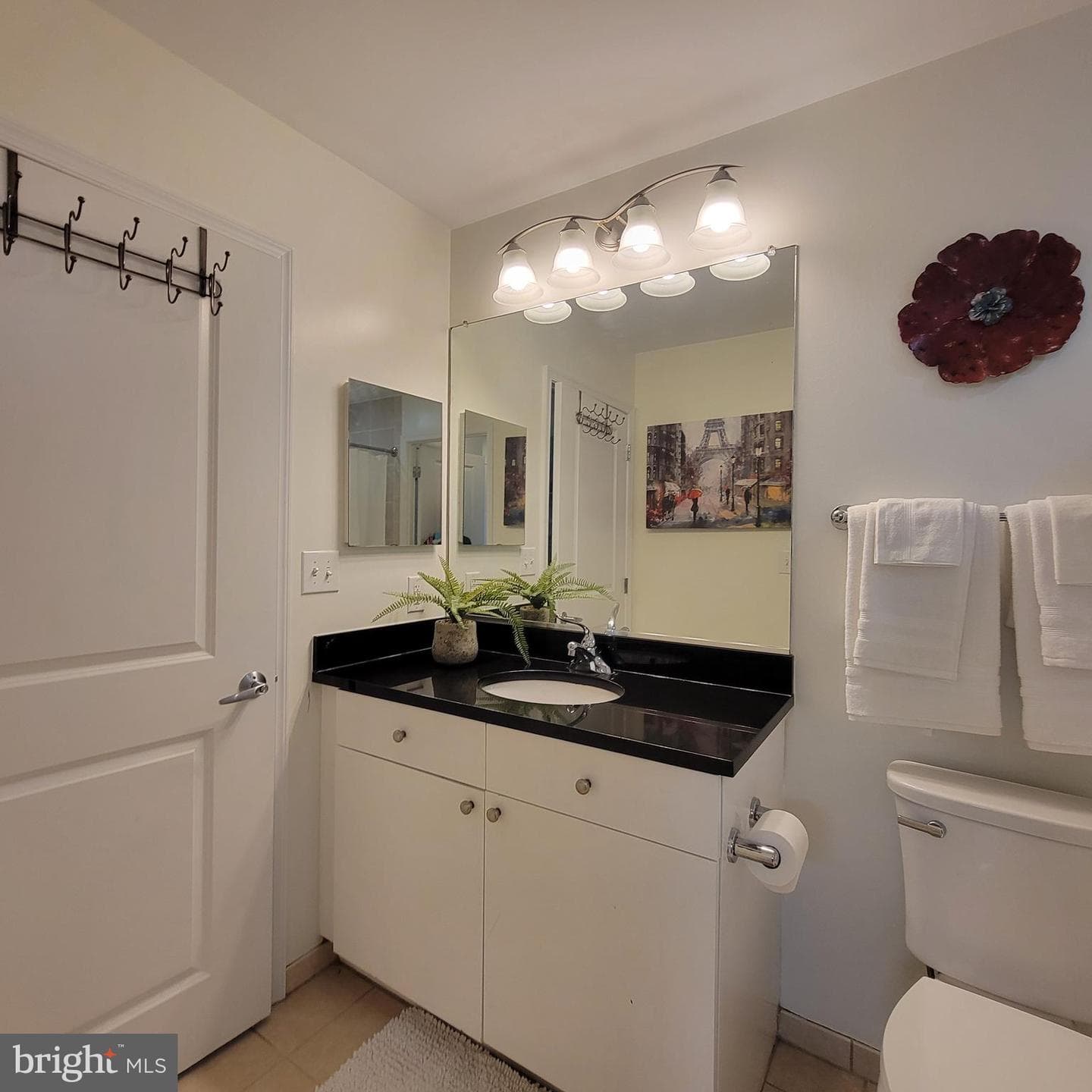 155 Potomac Psge #234 photo 15
