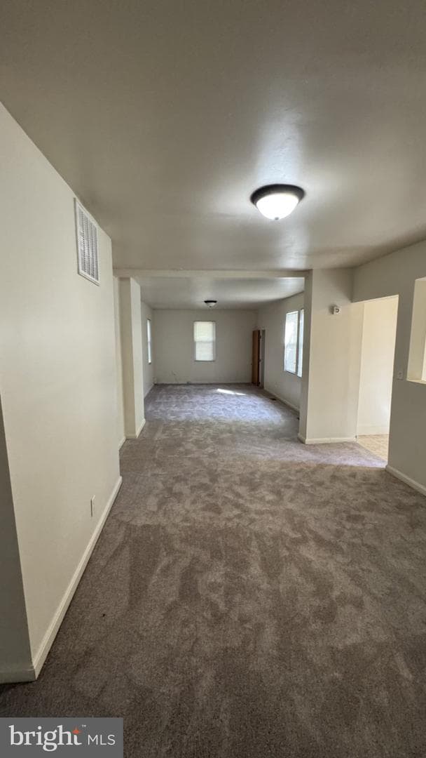 5517 Deer Pond Lane photo 5