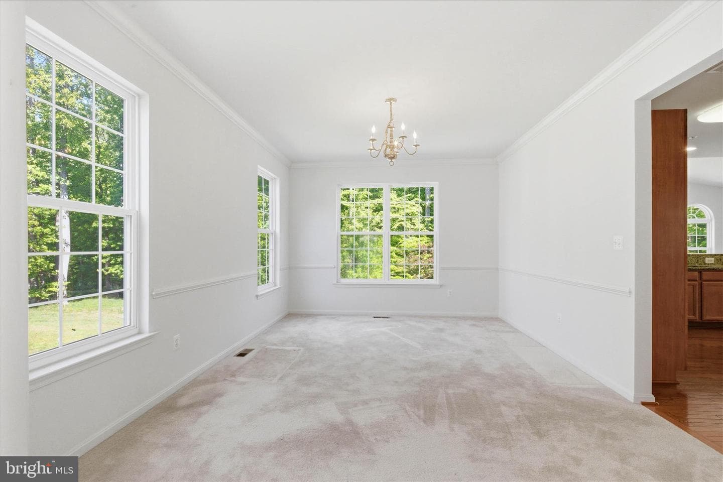 8114 Holly Lane photo 33