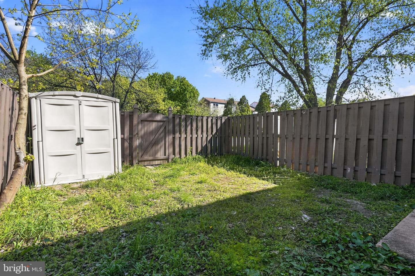 6219 Dimrill Court photo 38