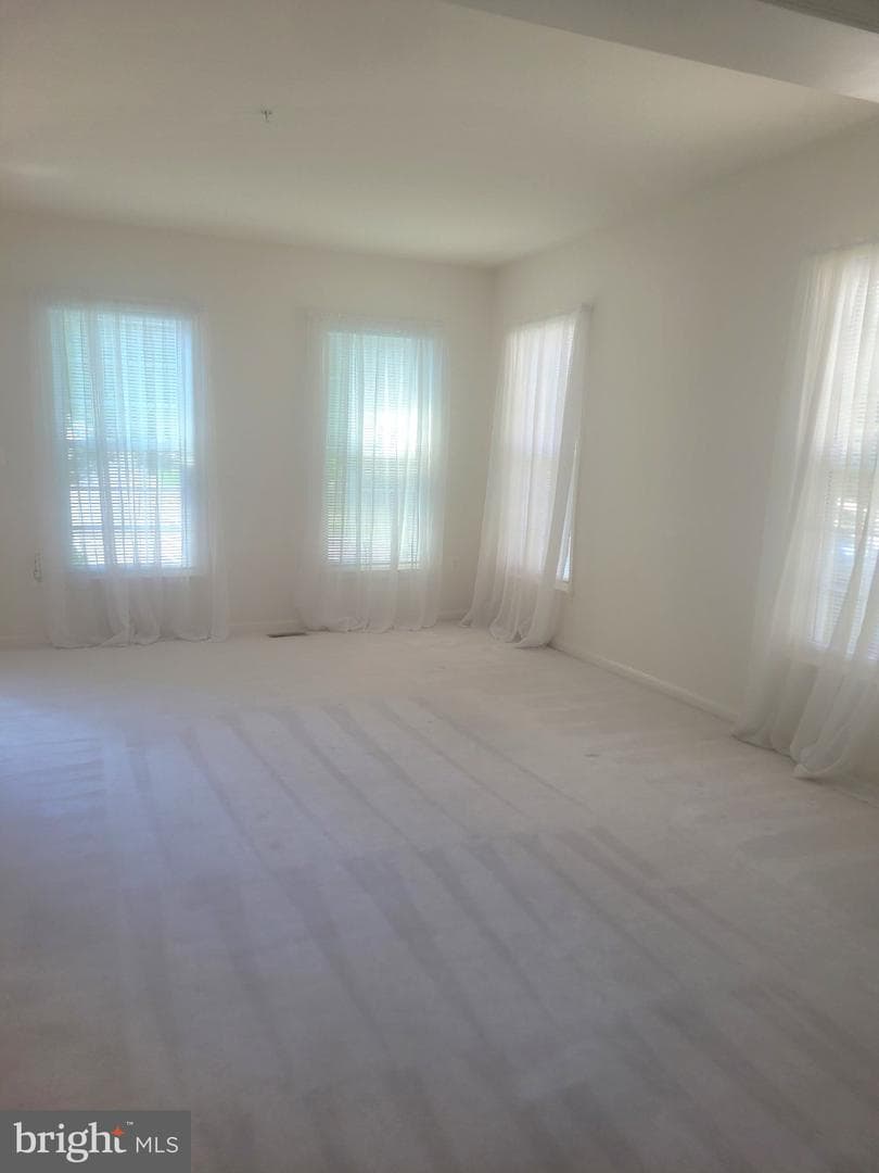 1202 Strausberg Street photo 23