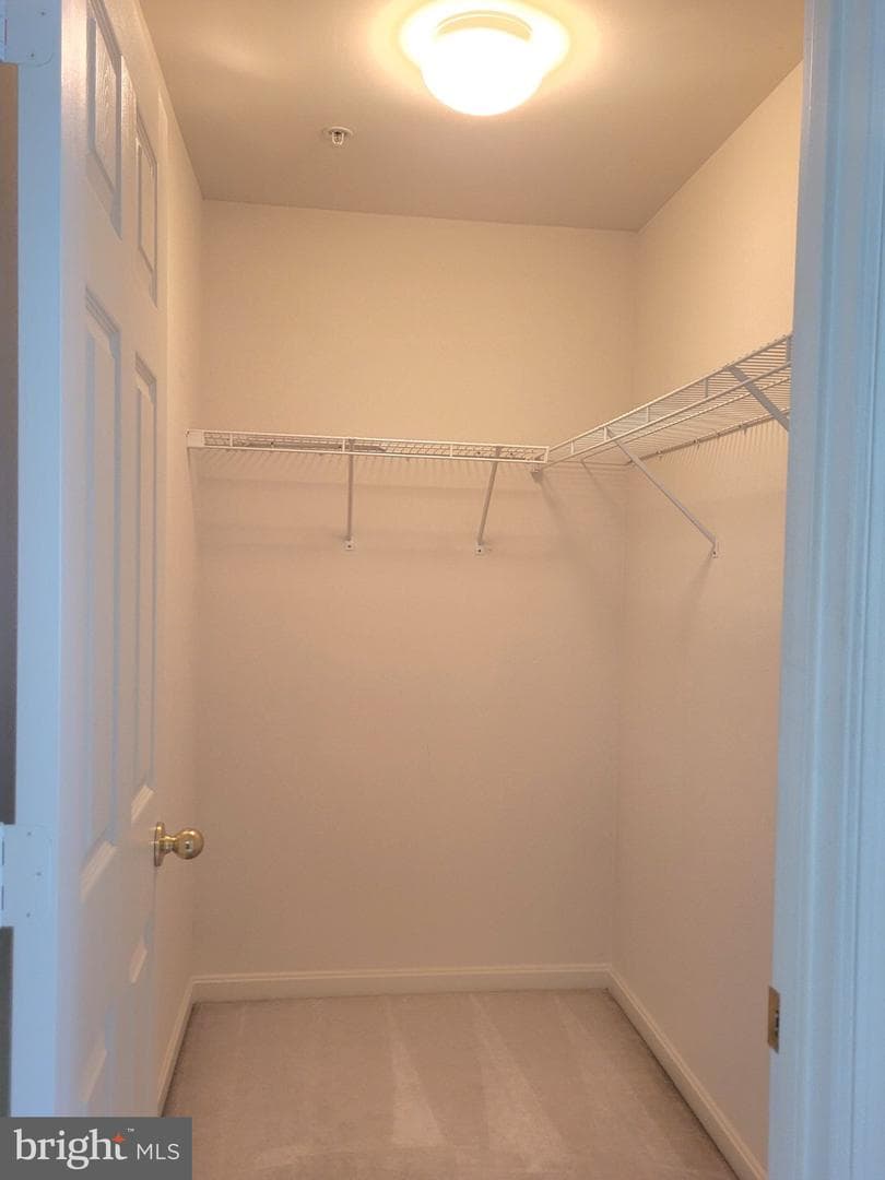 1202 Strausberg Street photo 31