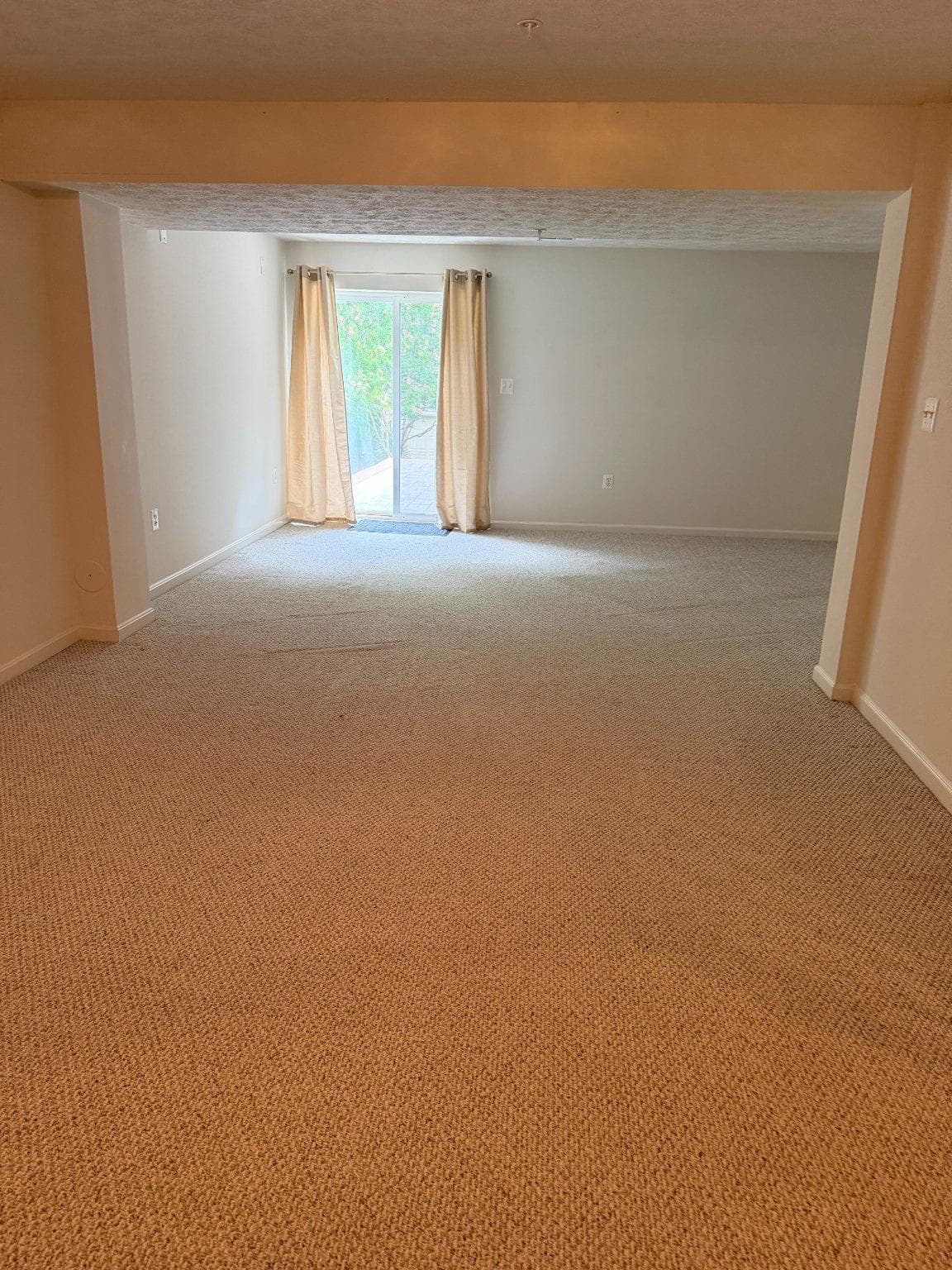 1202 Strausberg Street photo 49