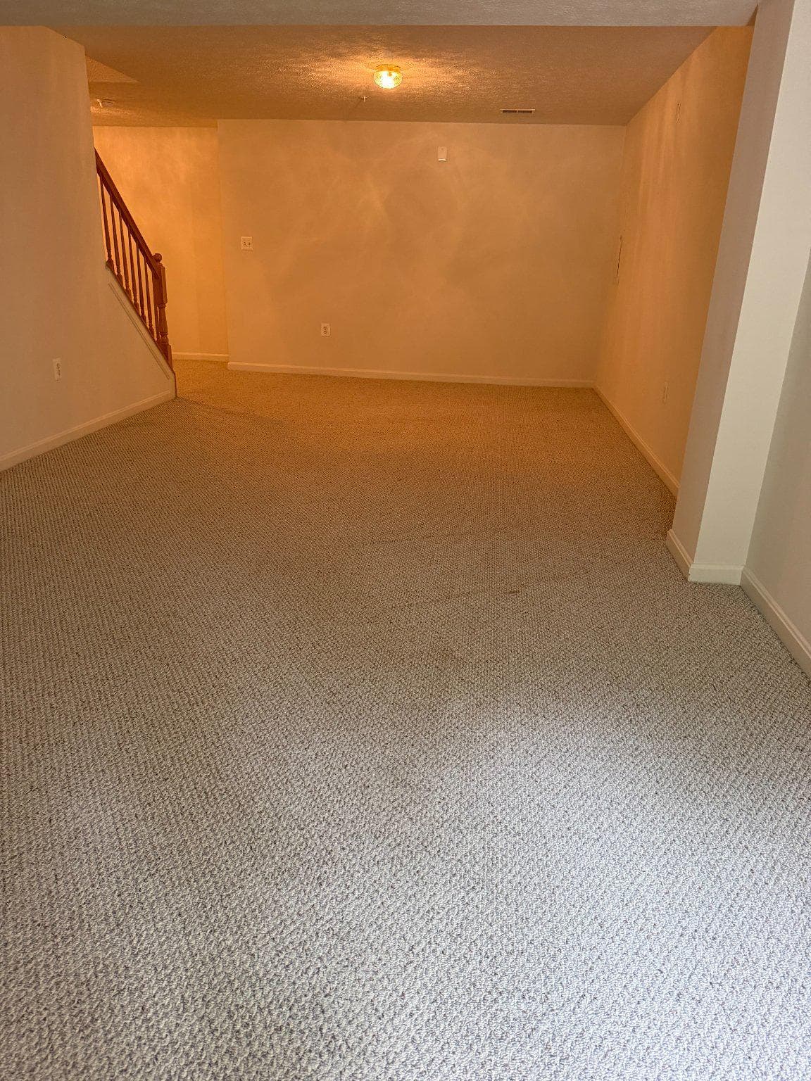 1202 Strausberg Street photo 50