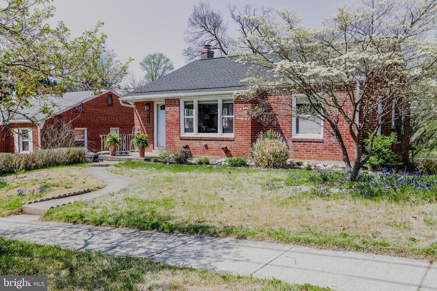 3104 Gumwood Drive photo 1