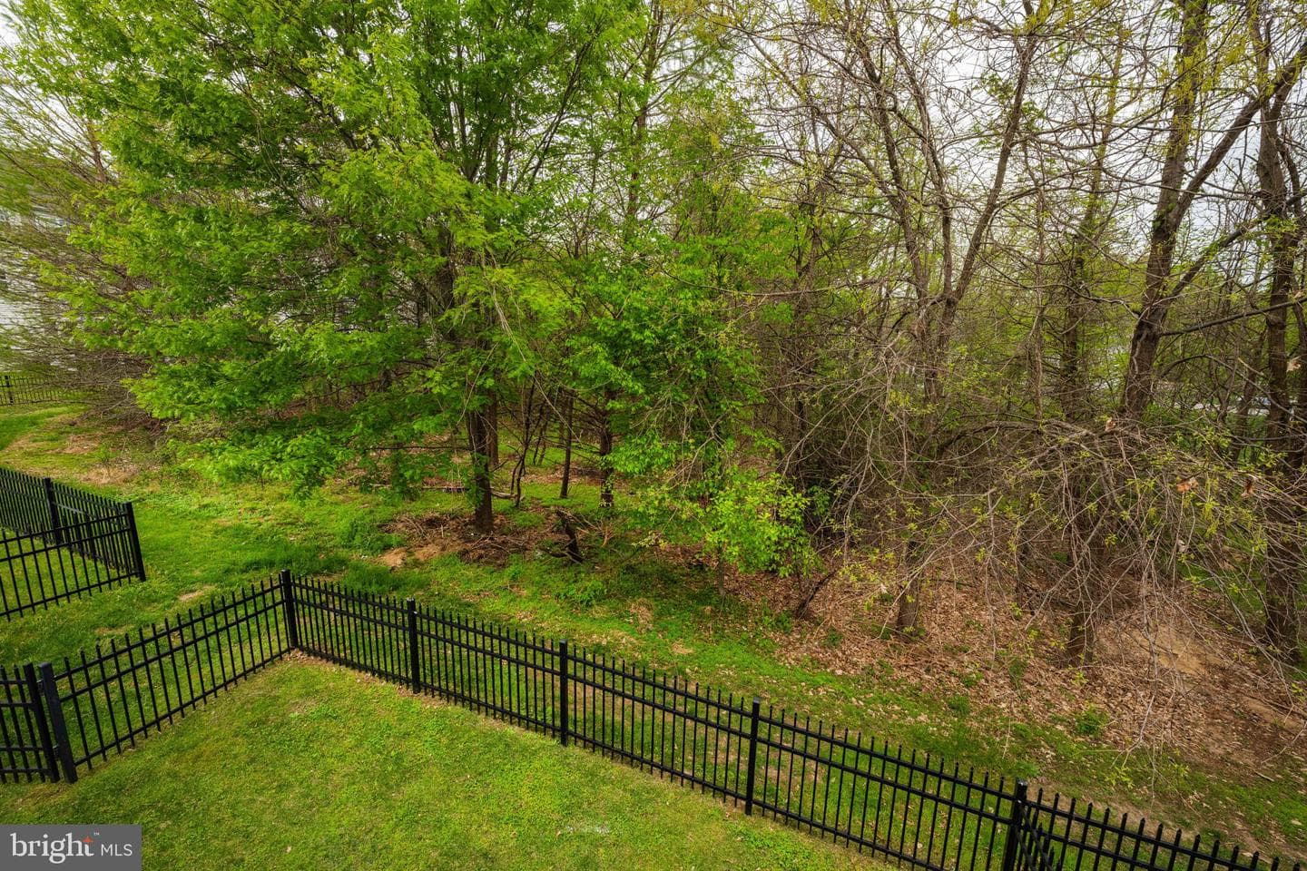 14714 Briarley Place photo 29