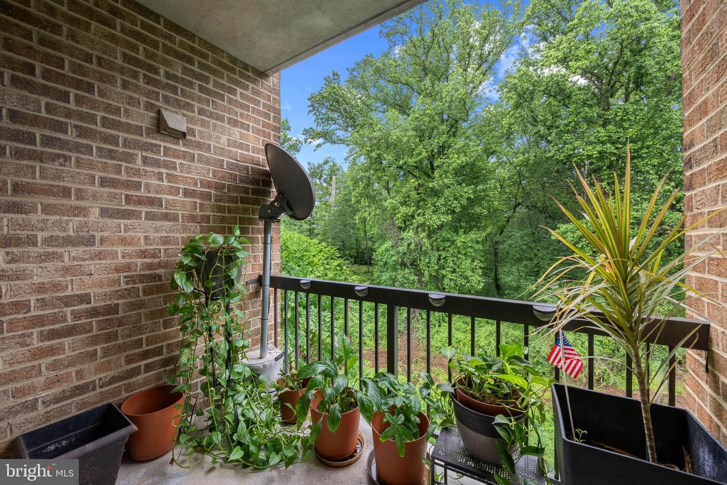 11222 Cherry Hill Road #202 photo 34