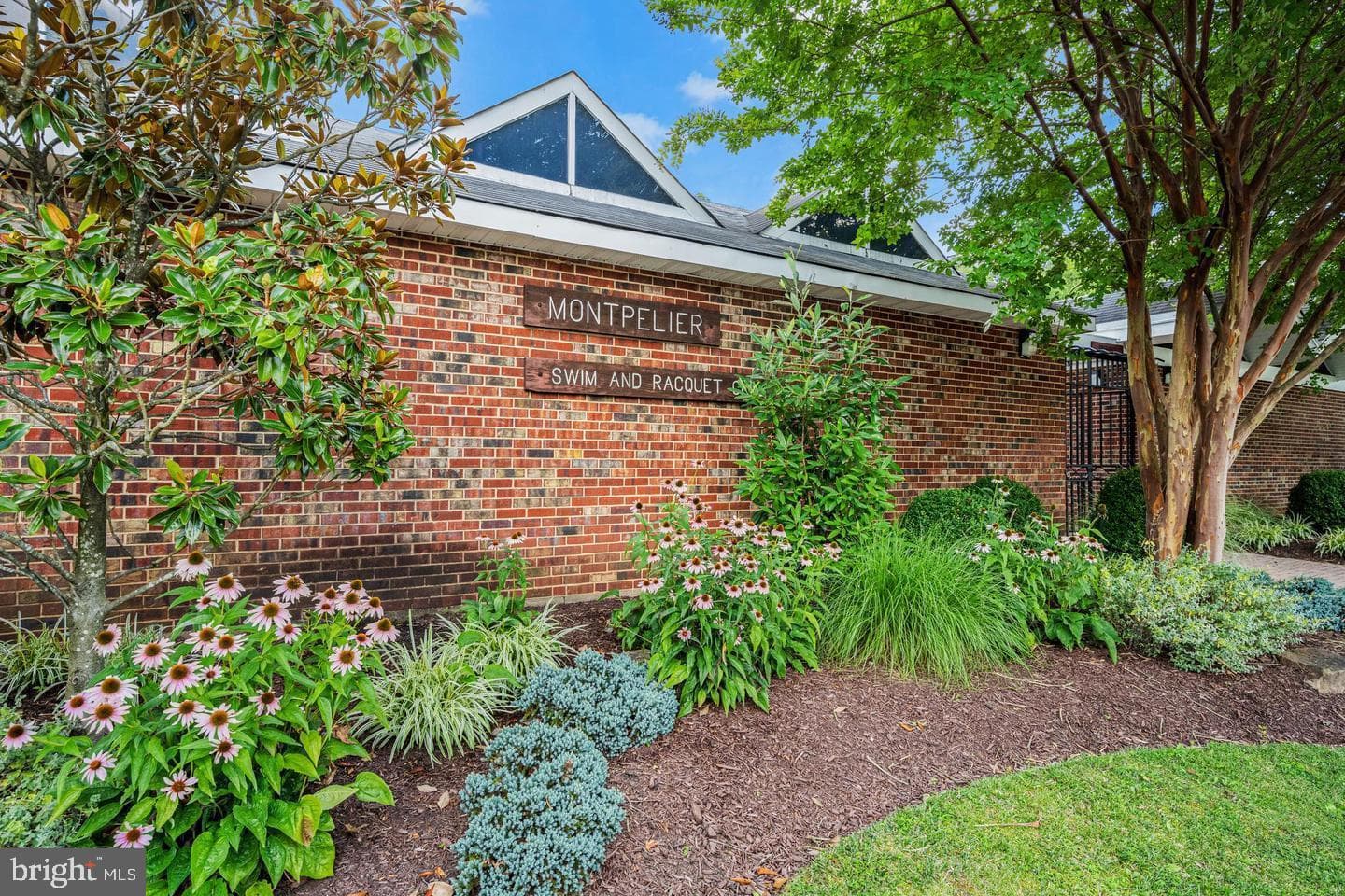 12229 Shadetree Lane photo 29