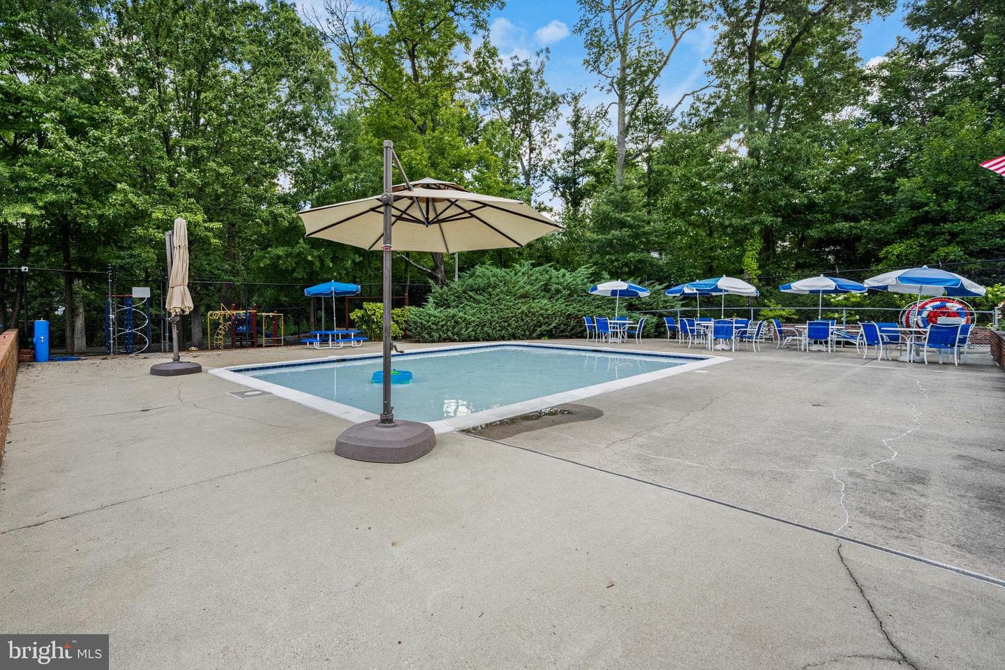 12229 Shadetree Lane photo 31