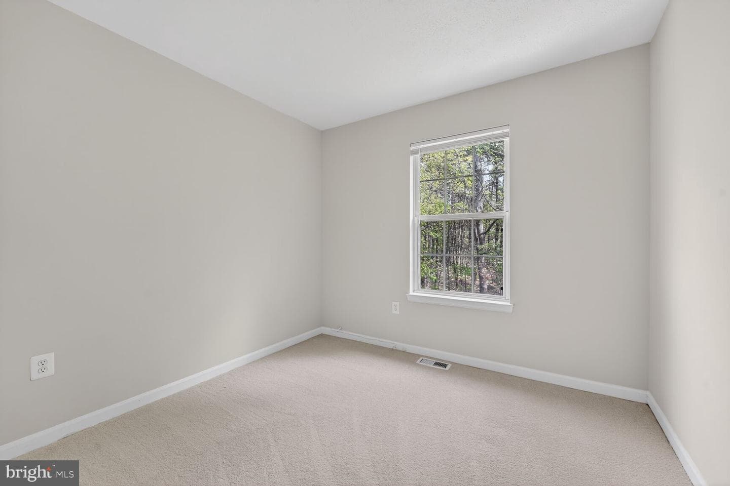 1546 Deep Gorge Court photo 12
