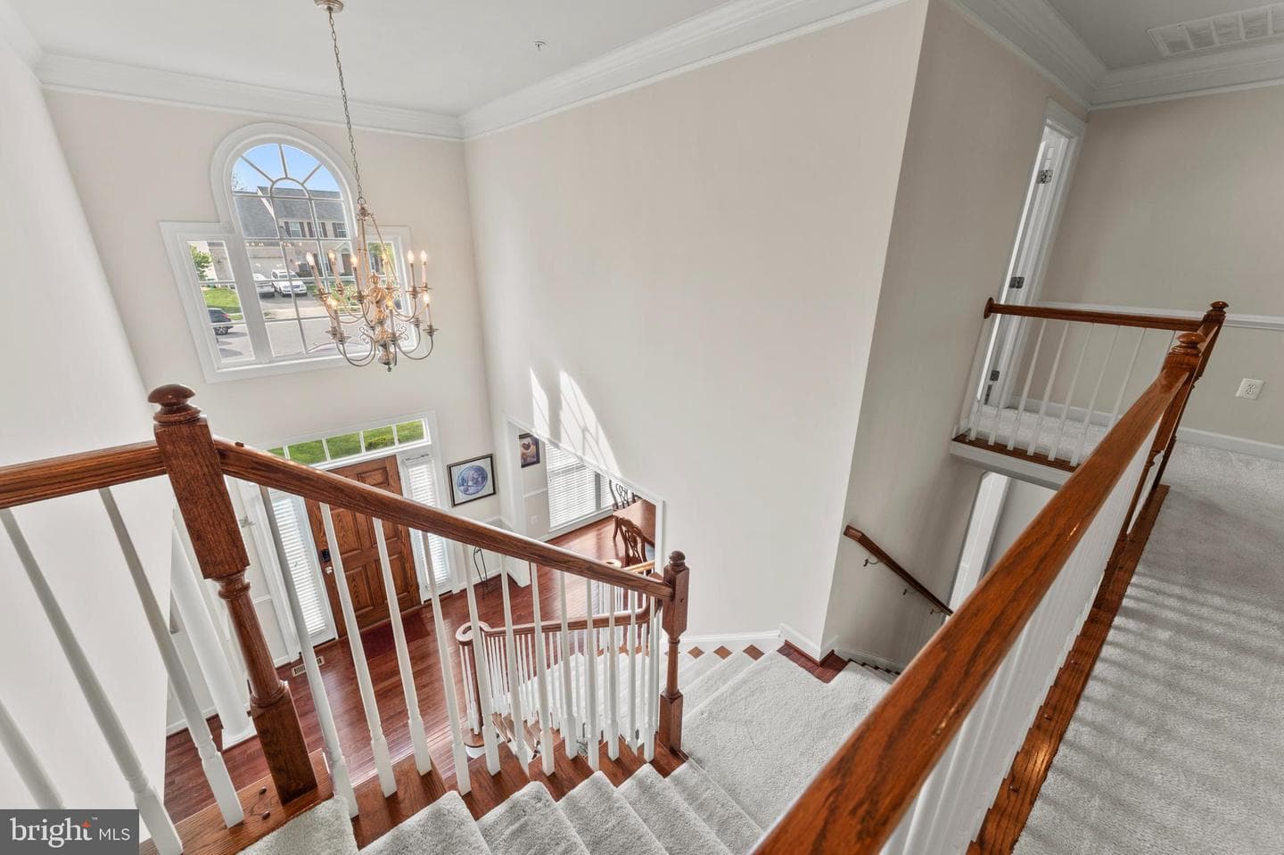 10916 Sir Paul Place photo 36
