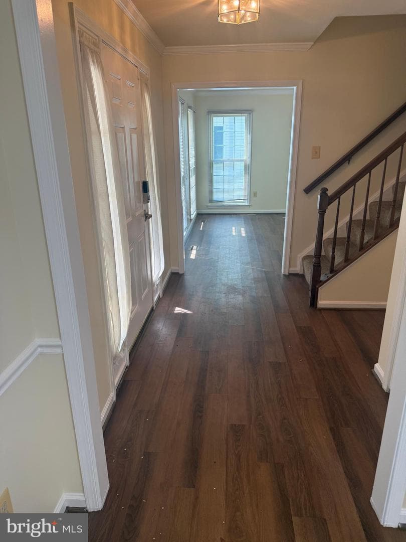 5404 Lakevale Terrace photo 25