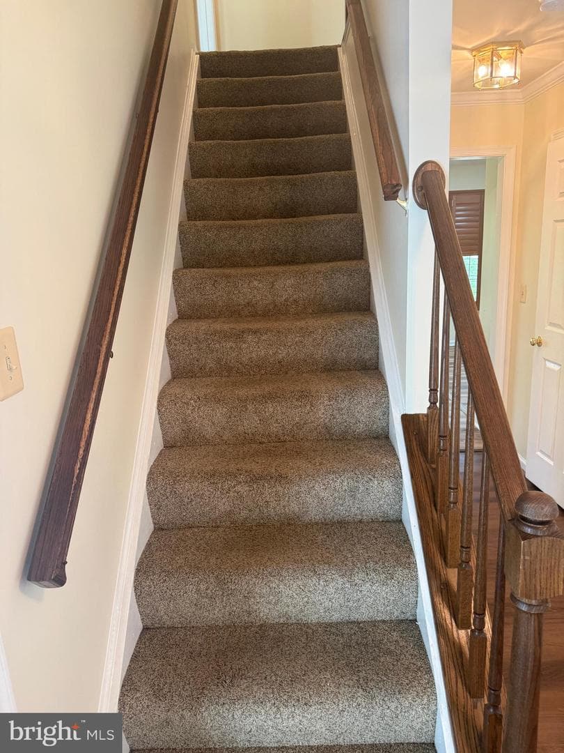 5404 Lakevale Terrace photo 26
