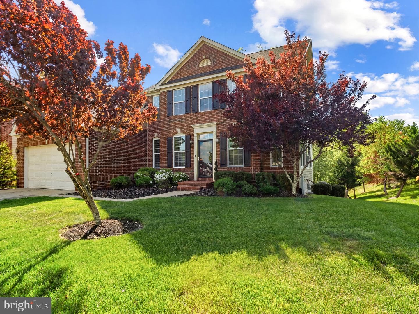 2015 Fittleworth Terrace photo 2