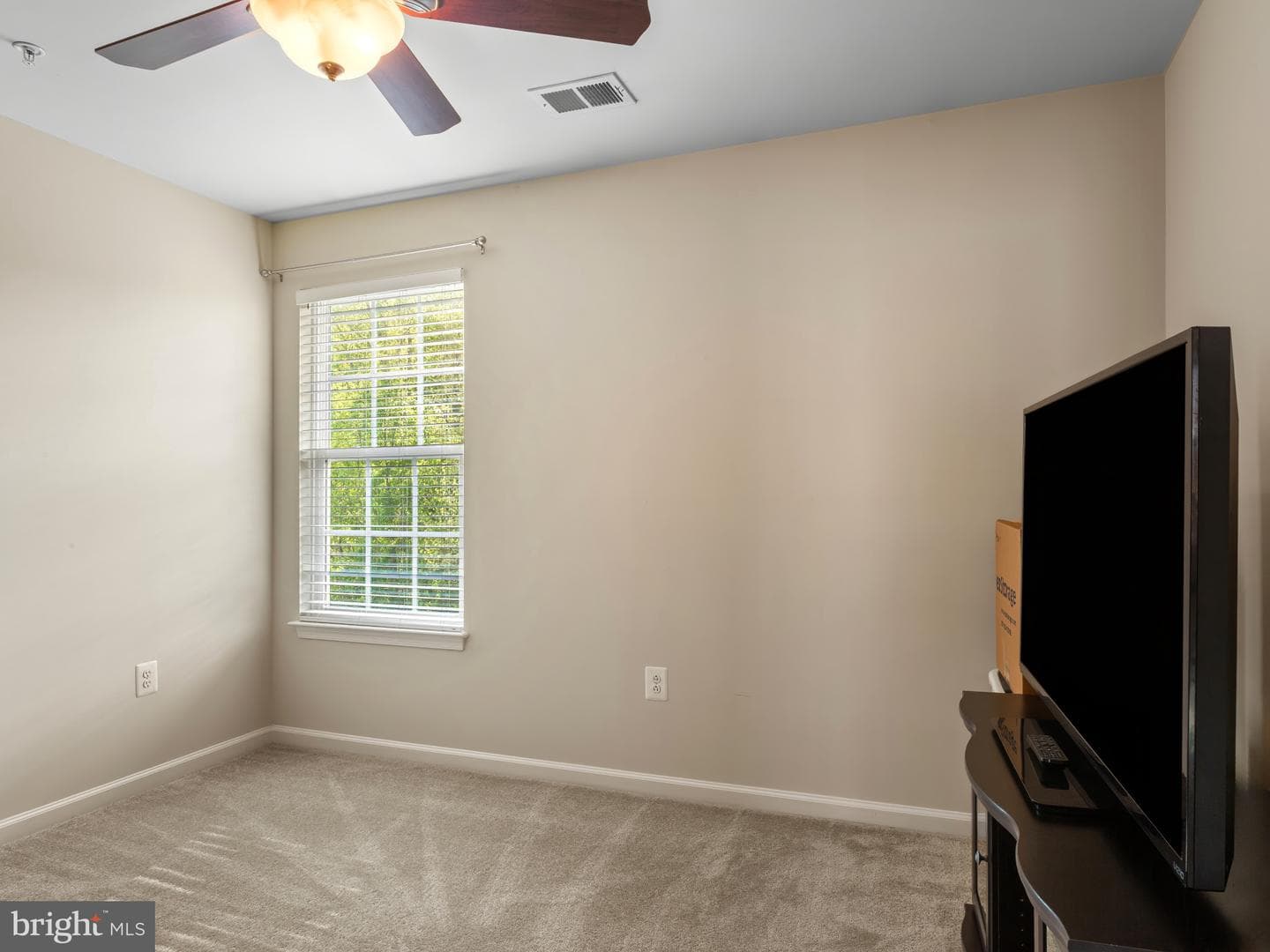 2015 Fittleworth Terrace photo 24