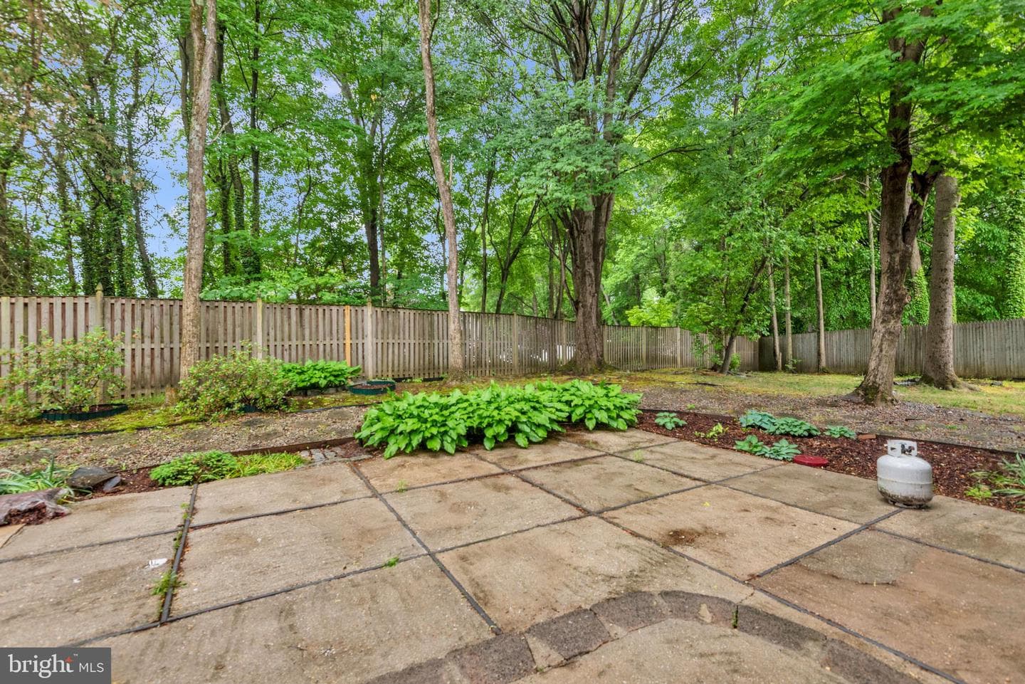 3201 Anzio Court photo 58