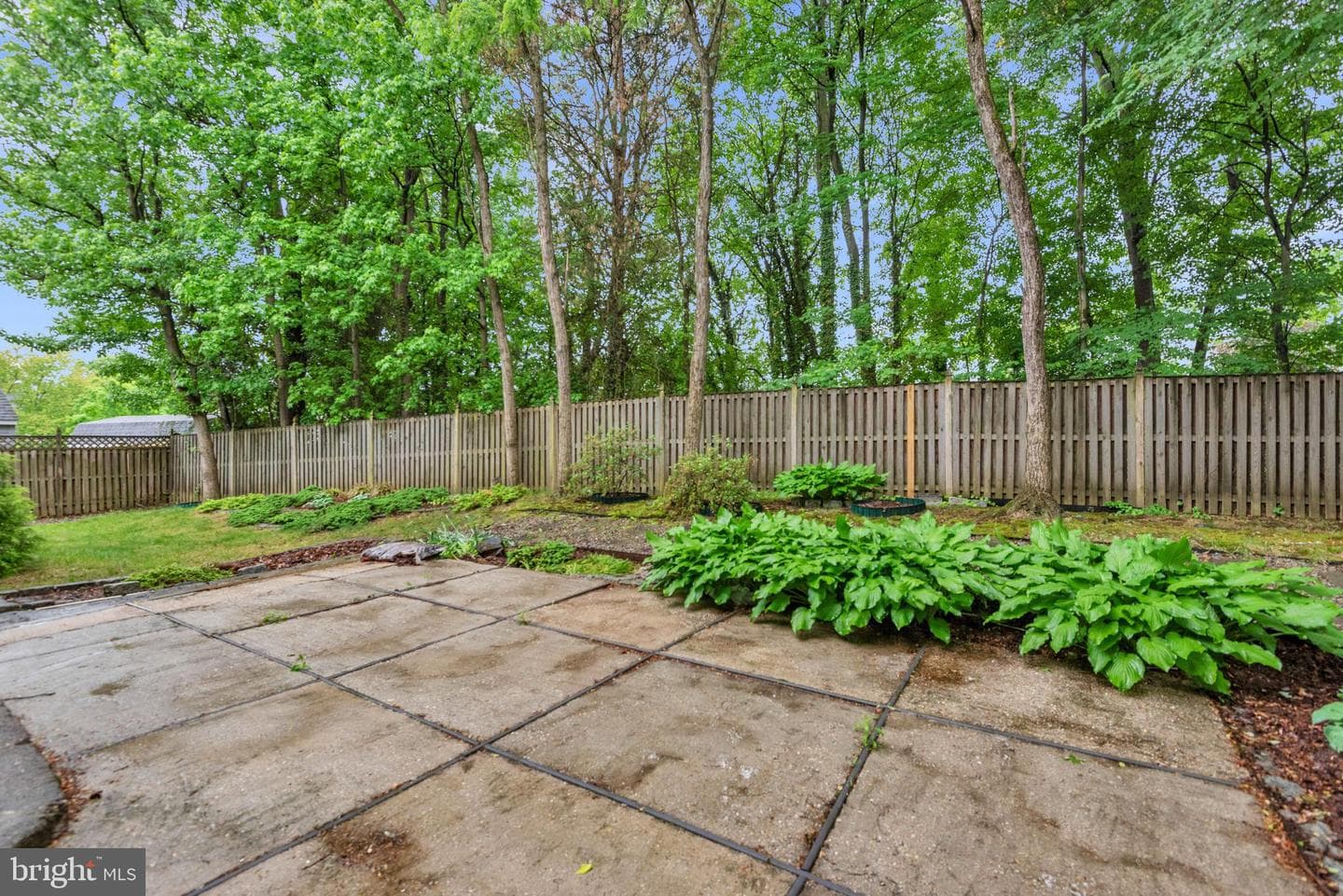 3201 Anzio Court photo 59