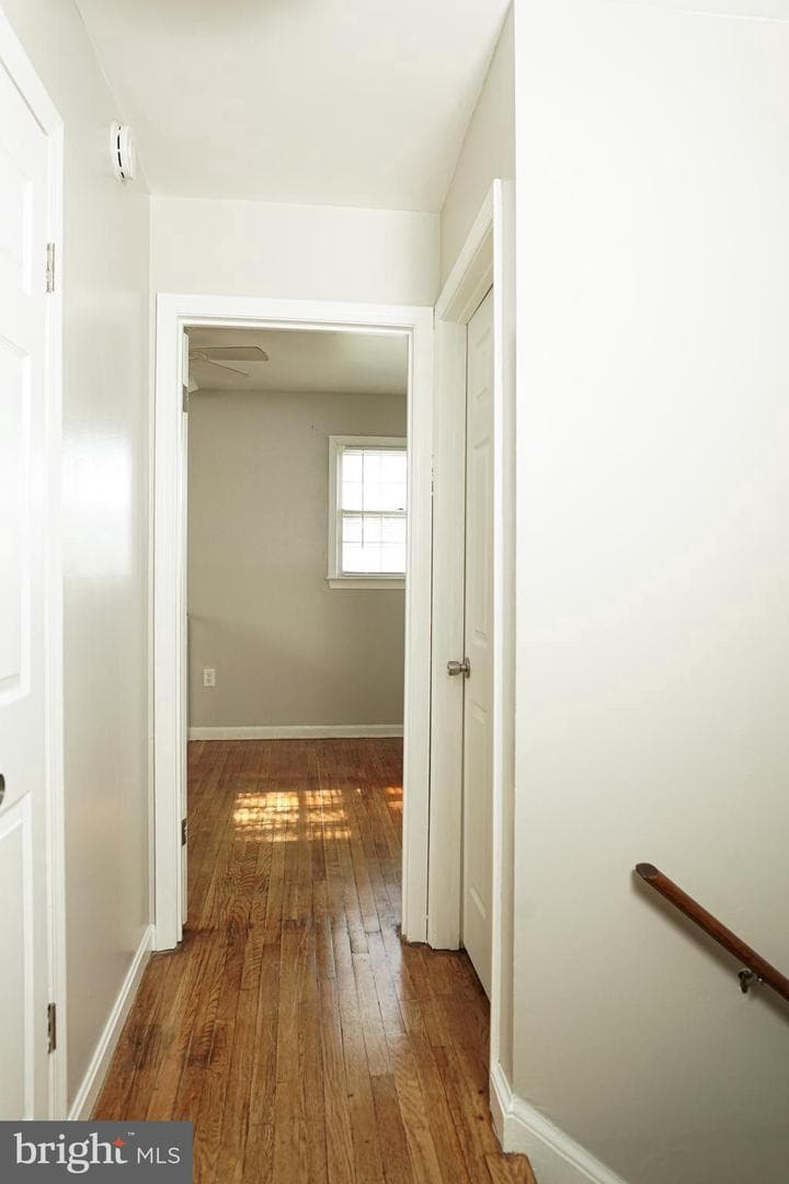 7901 Anne Ct photo 39
