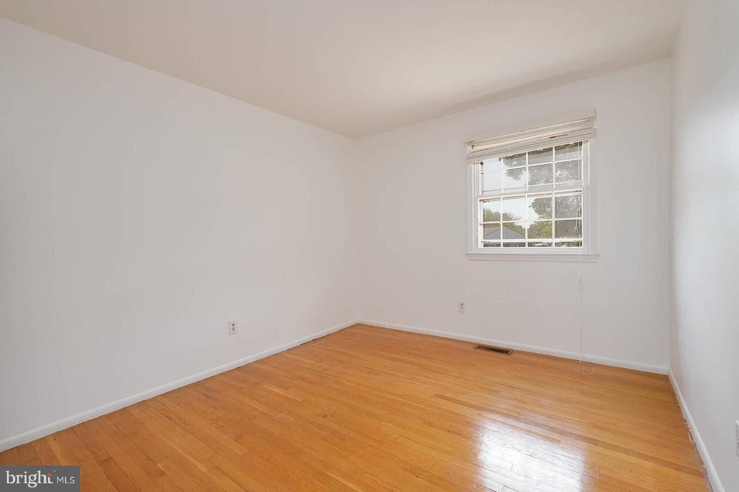 4 Thurston Drive photo 20
