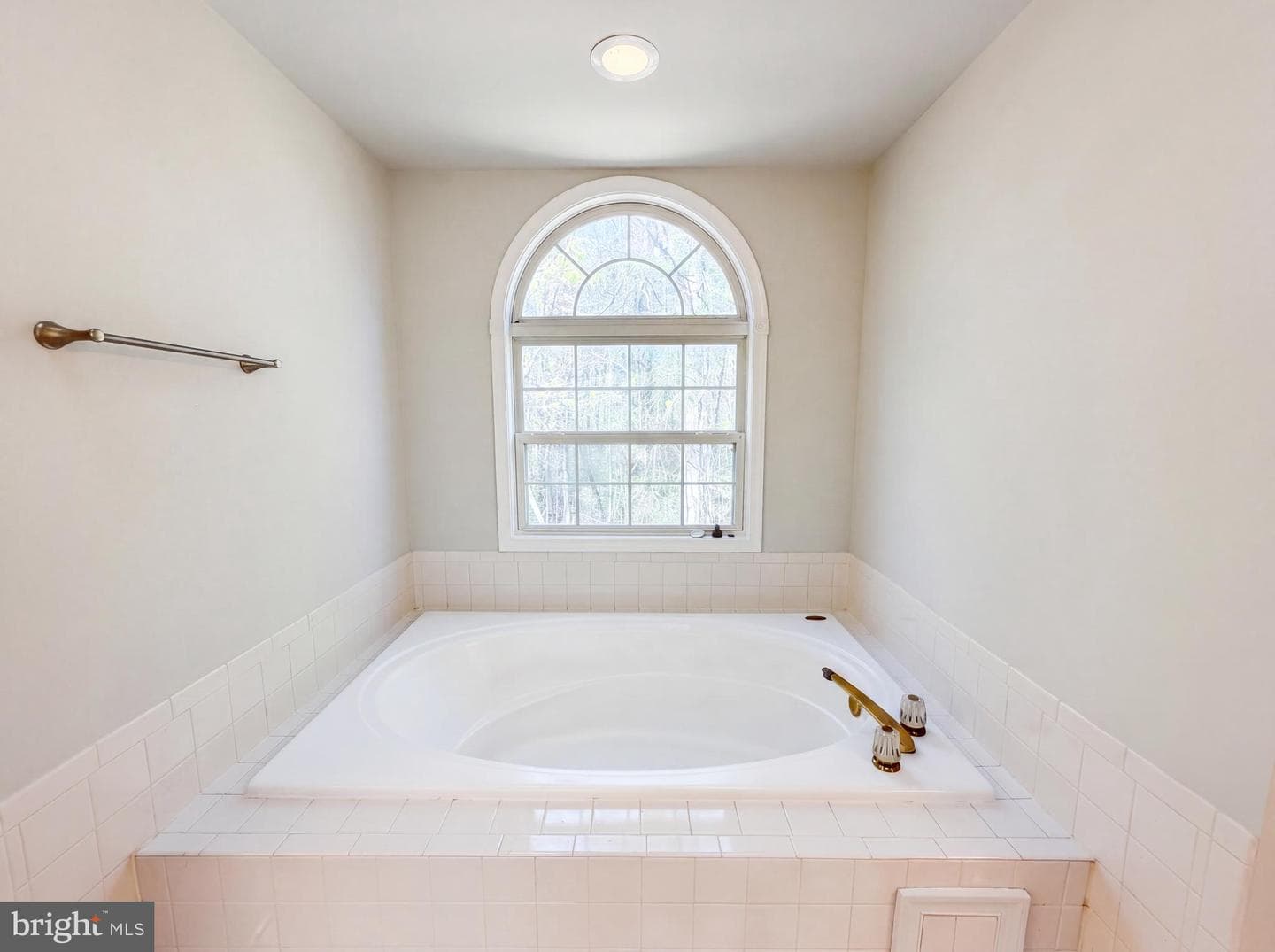 12608 Quarterhorse Drive photo 19