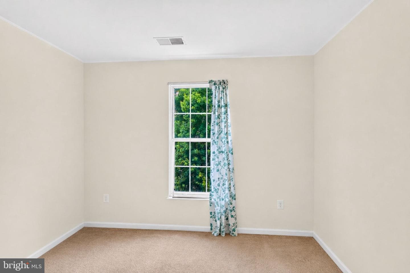 7318 Rotunda Court photo 24
