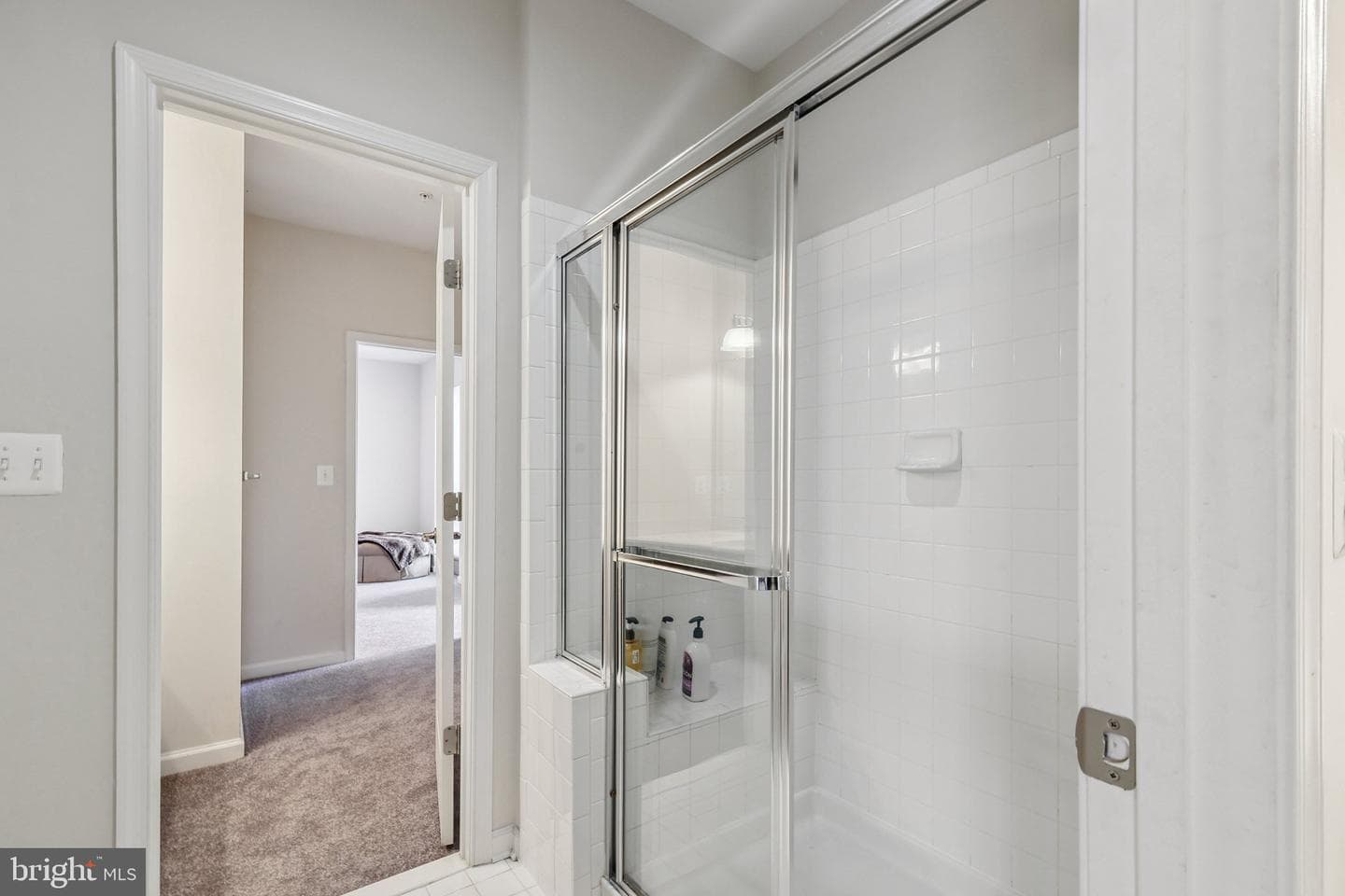 615 River Mist Drive photo 49