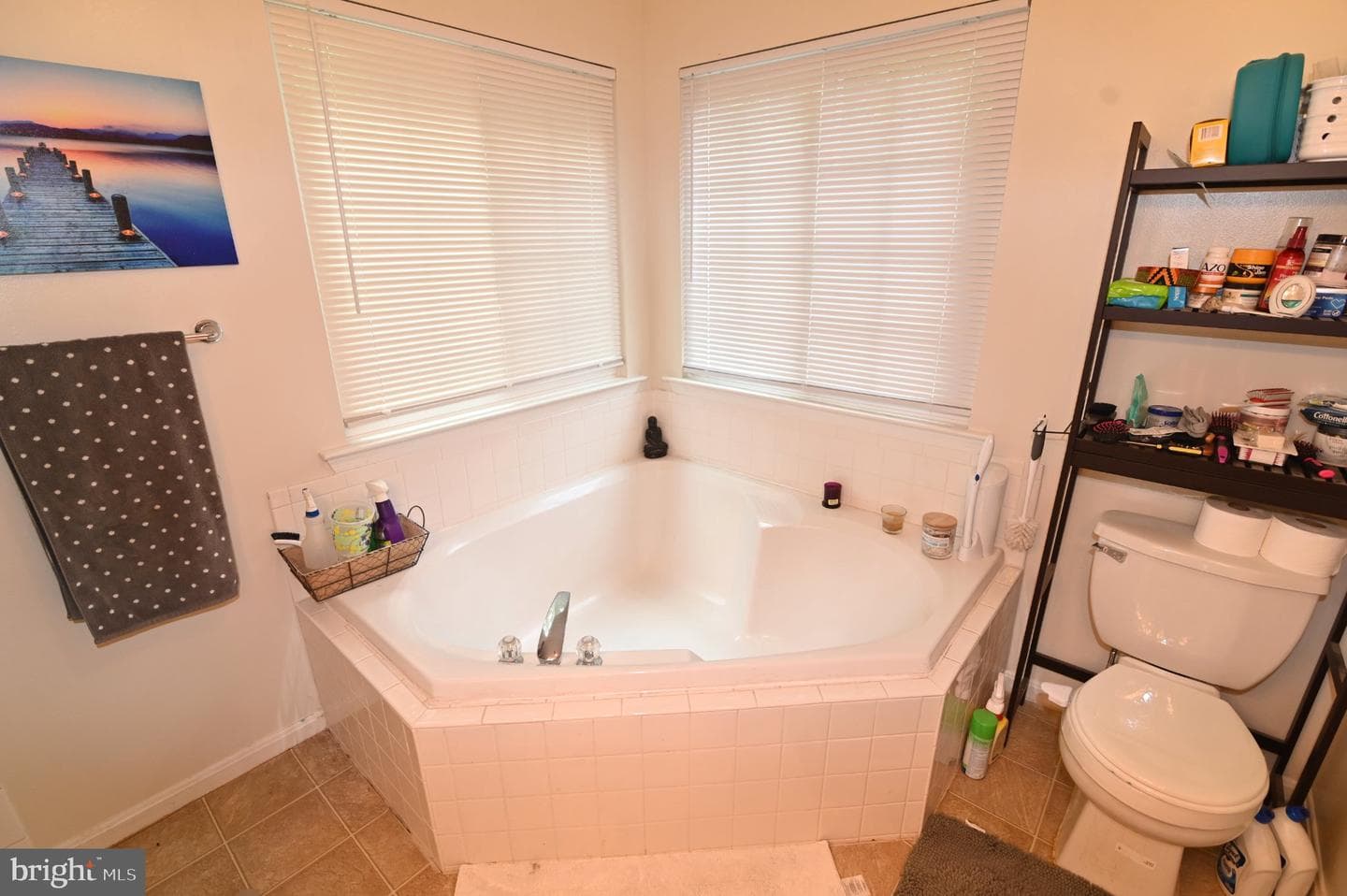 7619 Covent Gardens Court photo 28