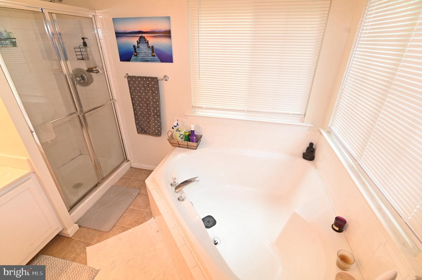 7619 Covent Gardens Court photo 29