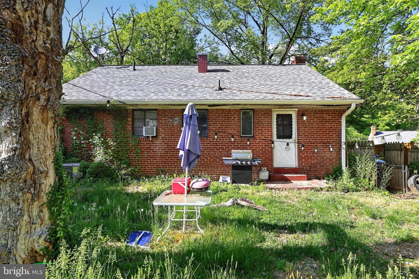 8513 14th Avenue photo 4