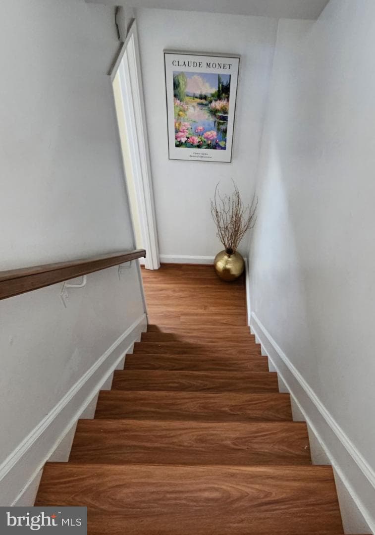 14505 Cambridge Circle photo 20