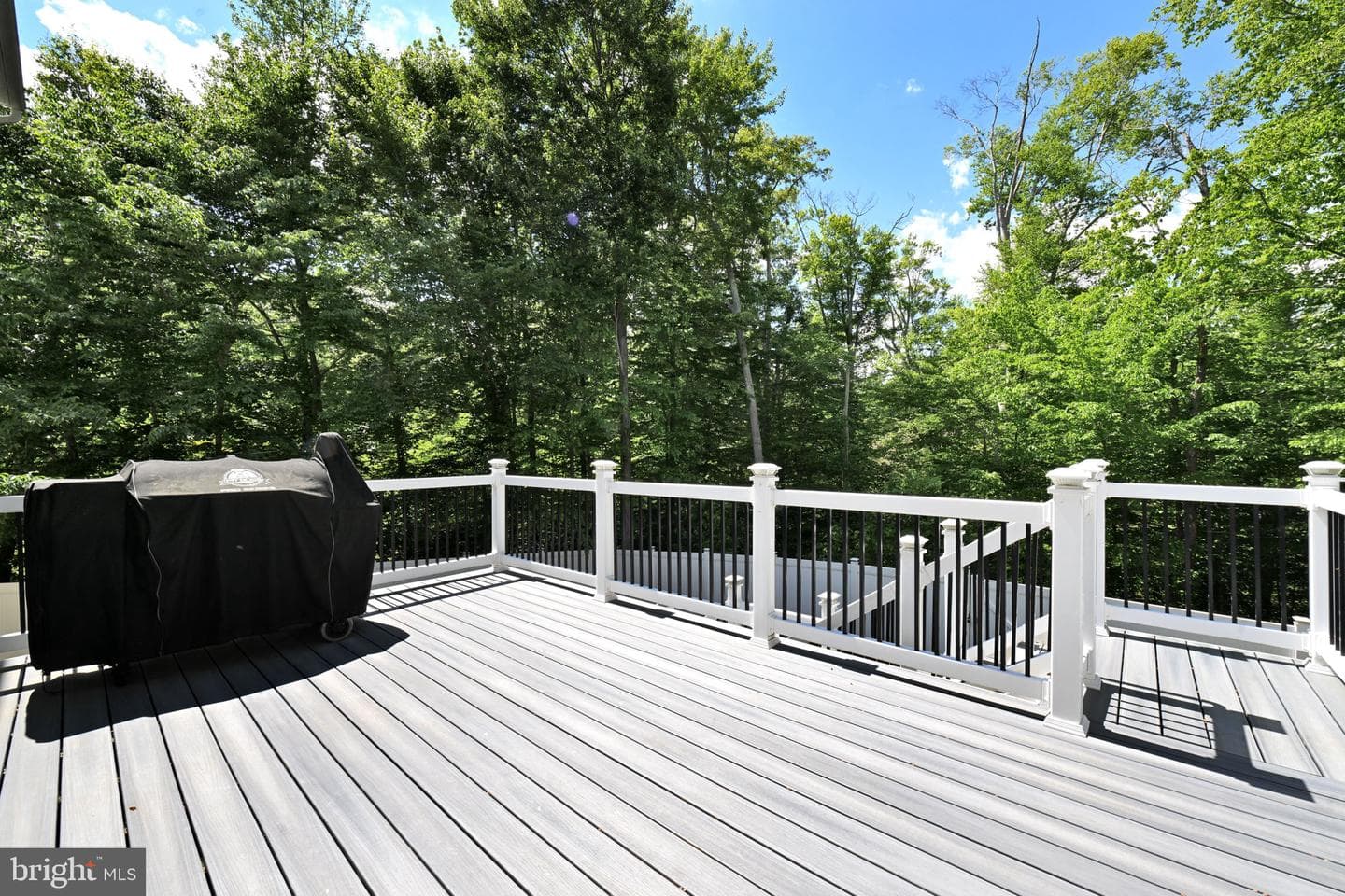 17415 Madrillon Way photo 76