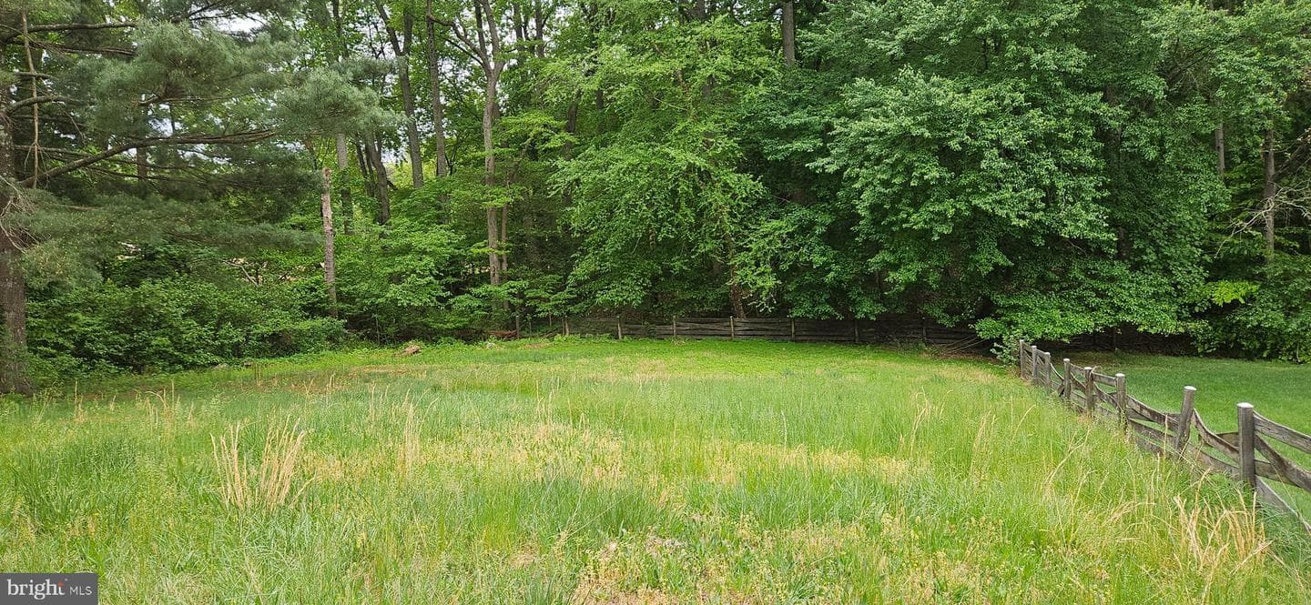 11609 Zareh Drive photo 3