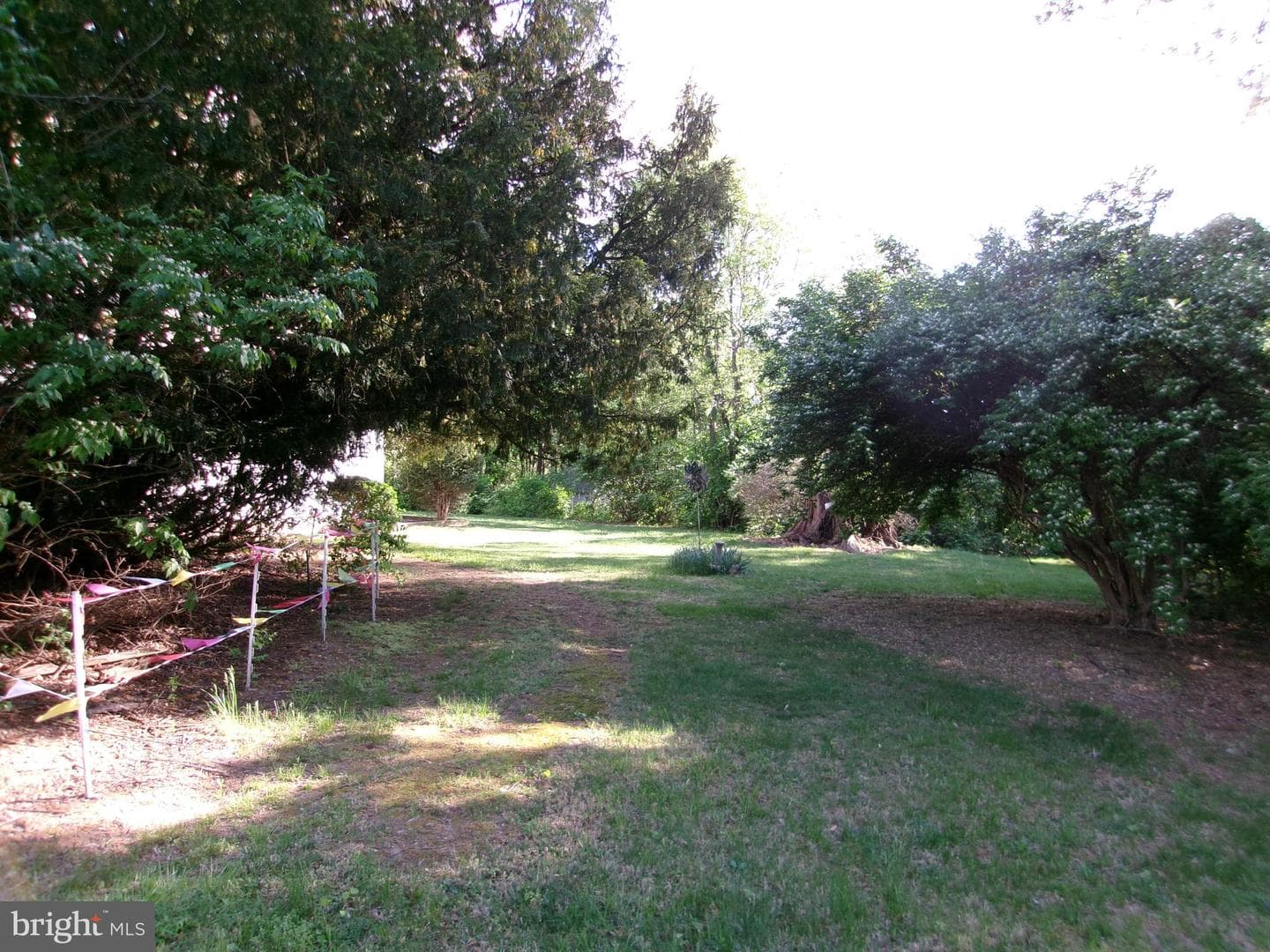 11723 Chilcoate Lane photo 16