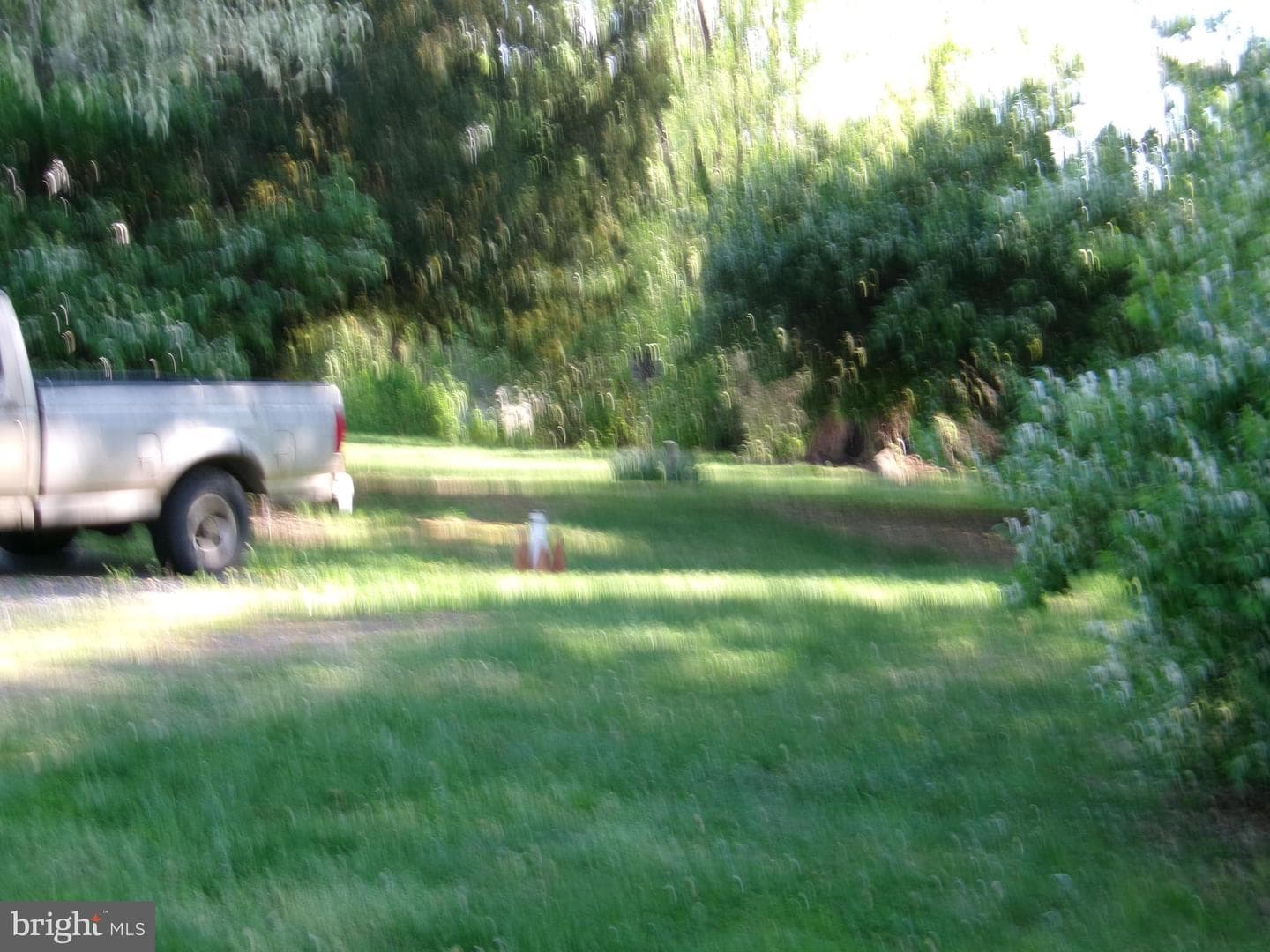 11723 Chilcoate Lane photo 6