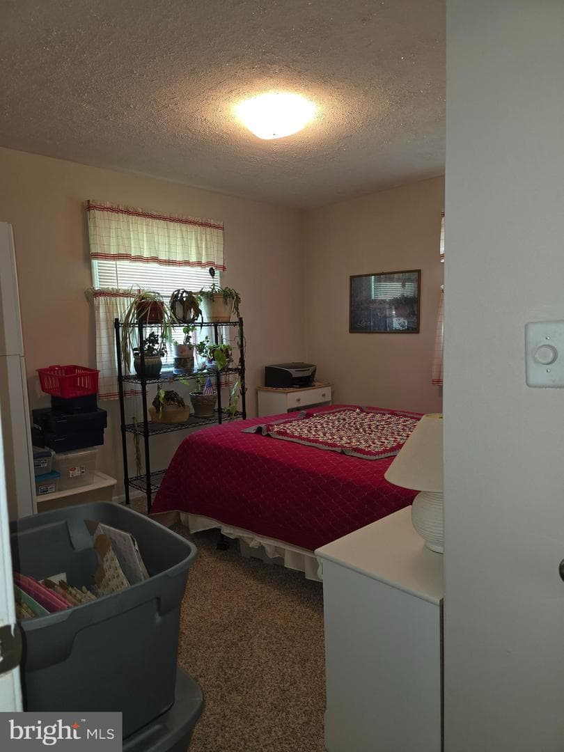 8326 Verona Drive photo 27