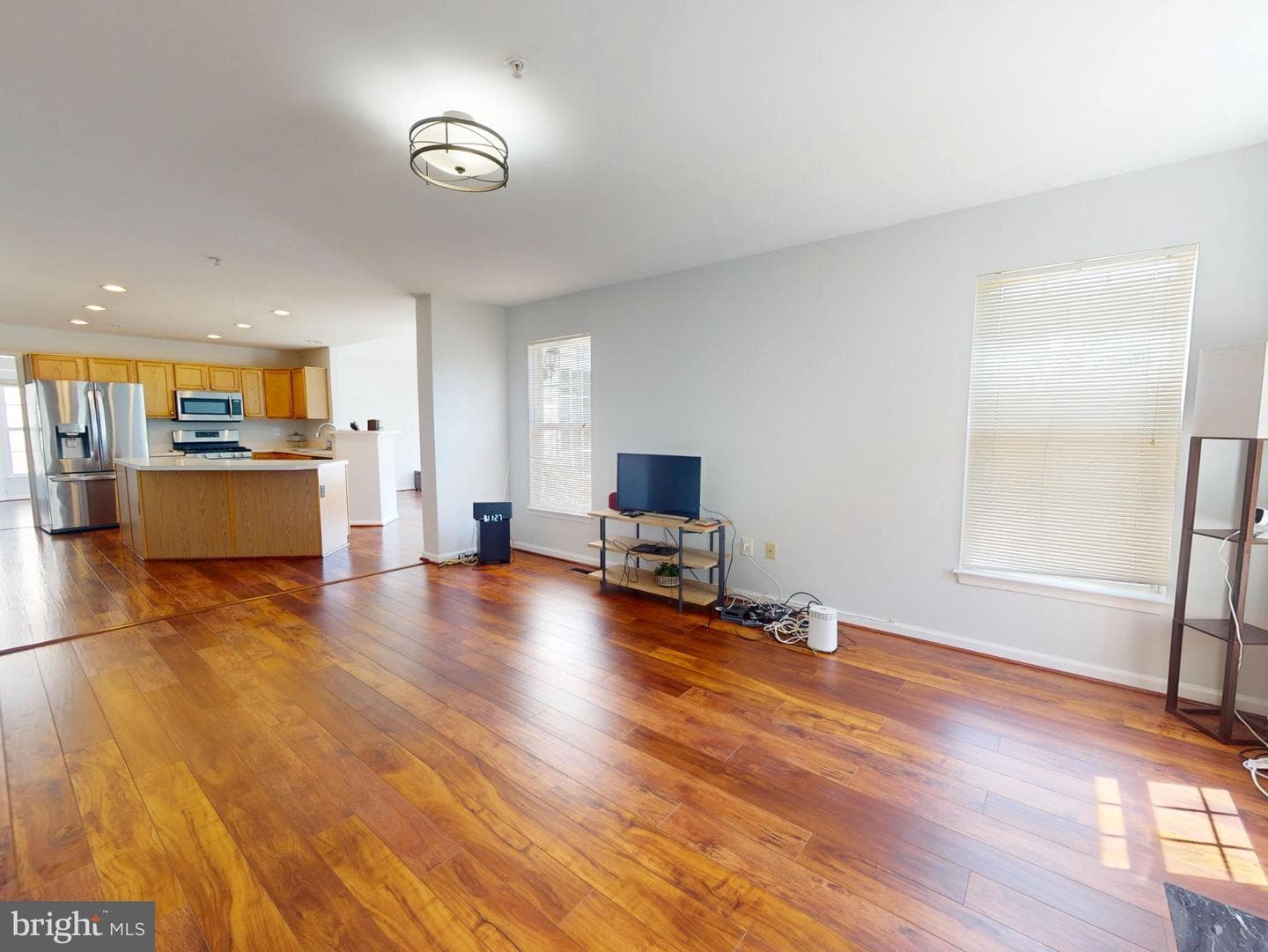1100 Andean Goose Way photo 10