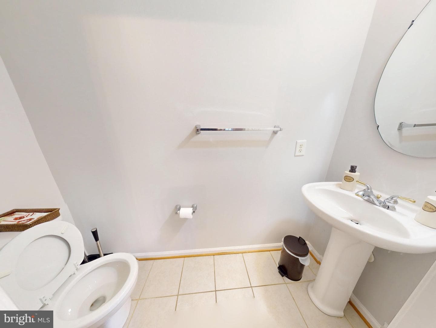 1100 Andean Goose Way photo 19