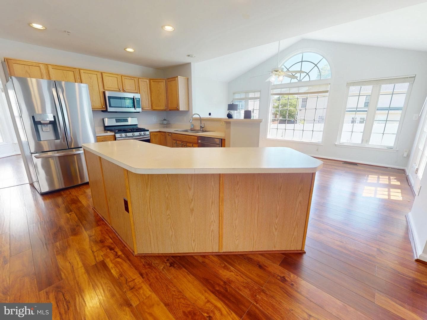1100 Andean Goose Way photo 2