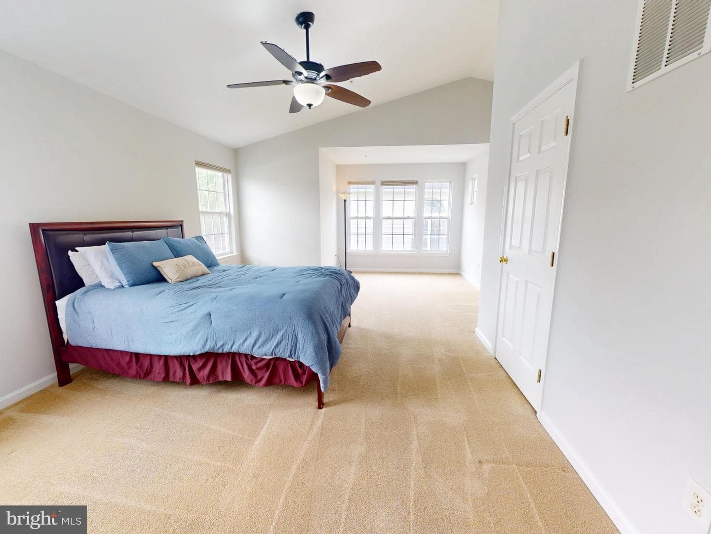 1100 Andean Goose Way photo 20