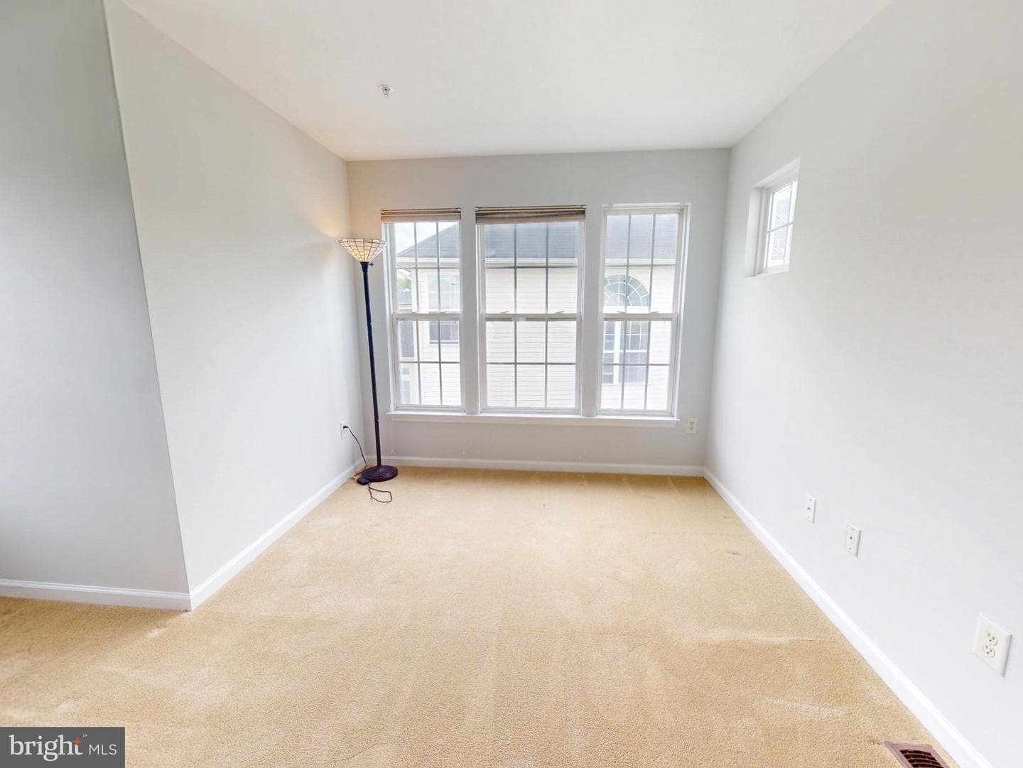 1100 Andean Goose Way photo 21