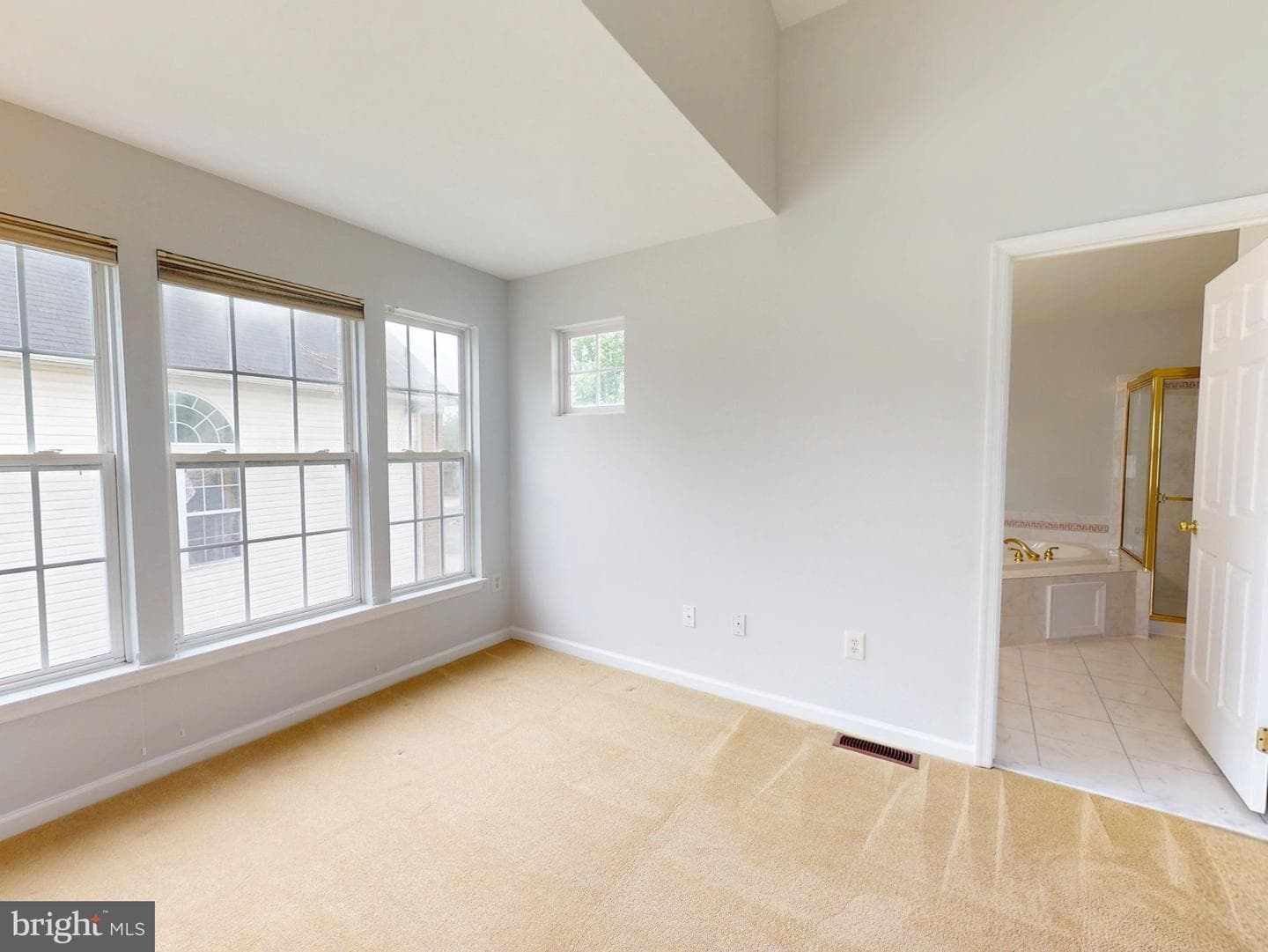 1100 Andean Goose Way photo 23