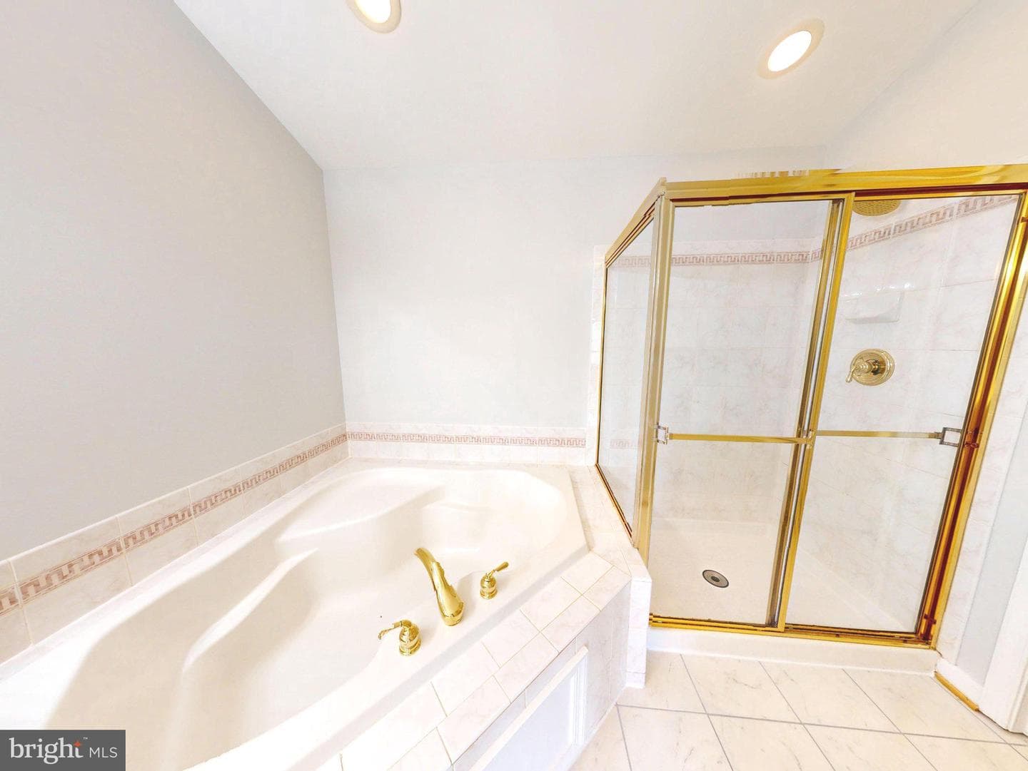 1100 Andean Goose Way photo 25
