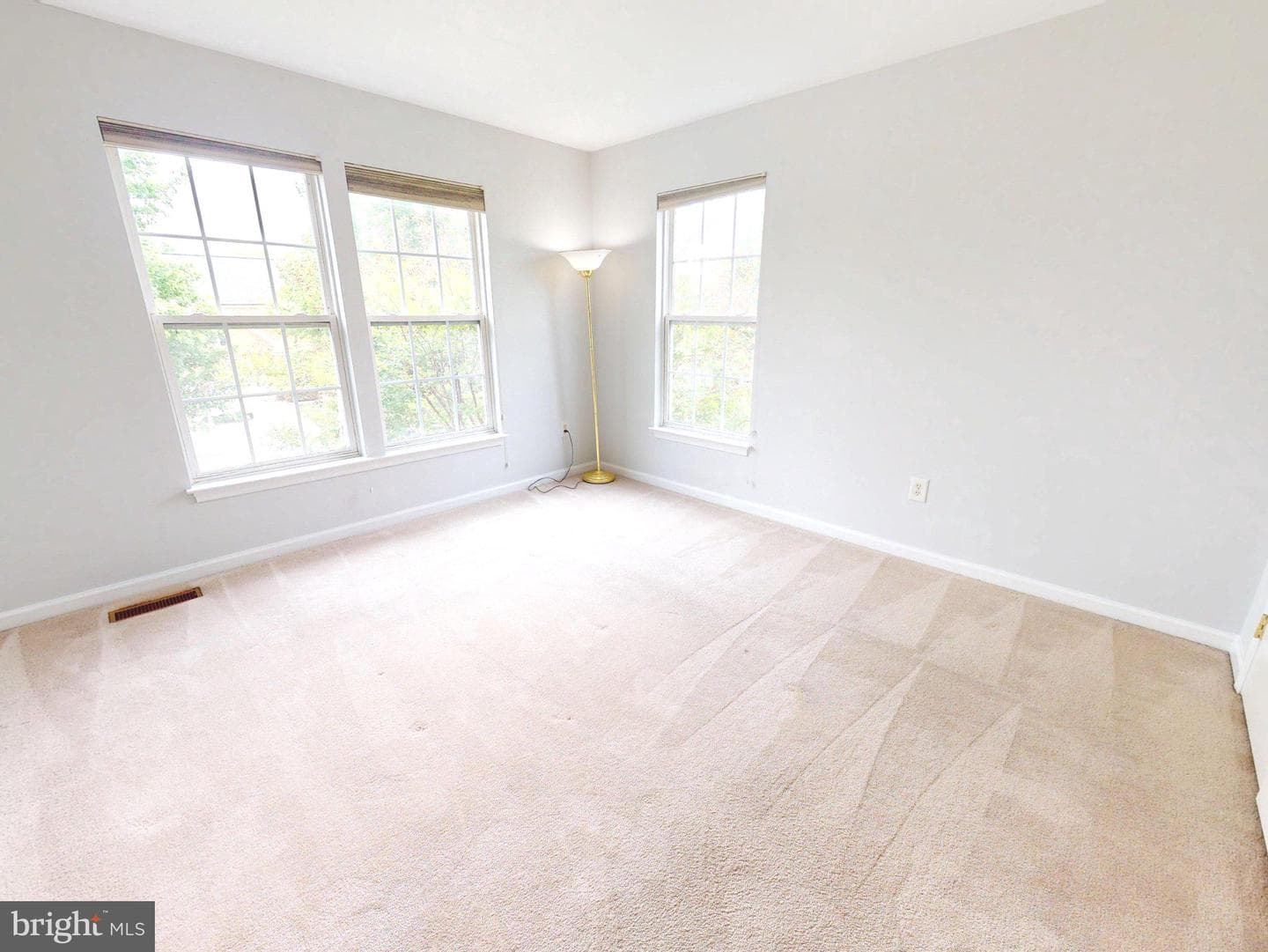 1100 Andean Goose Way photo 27