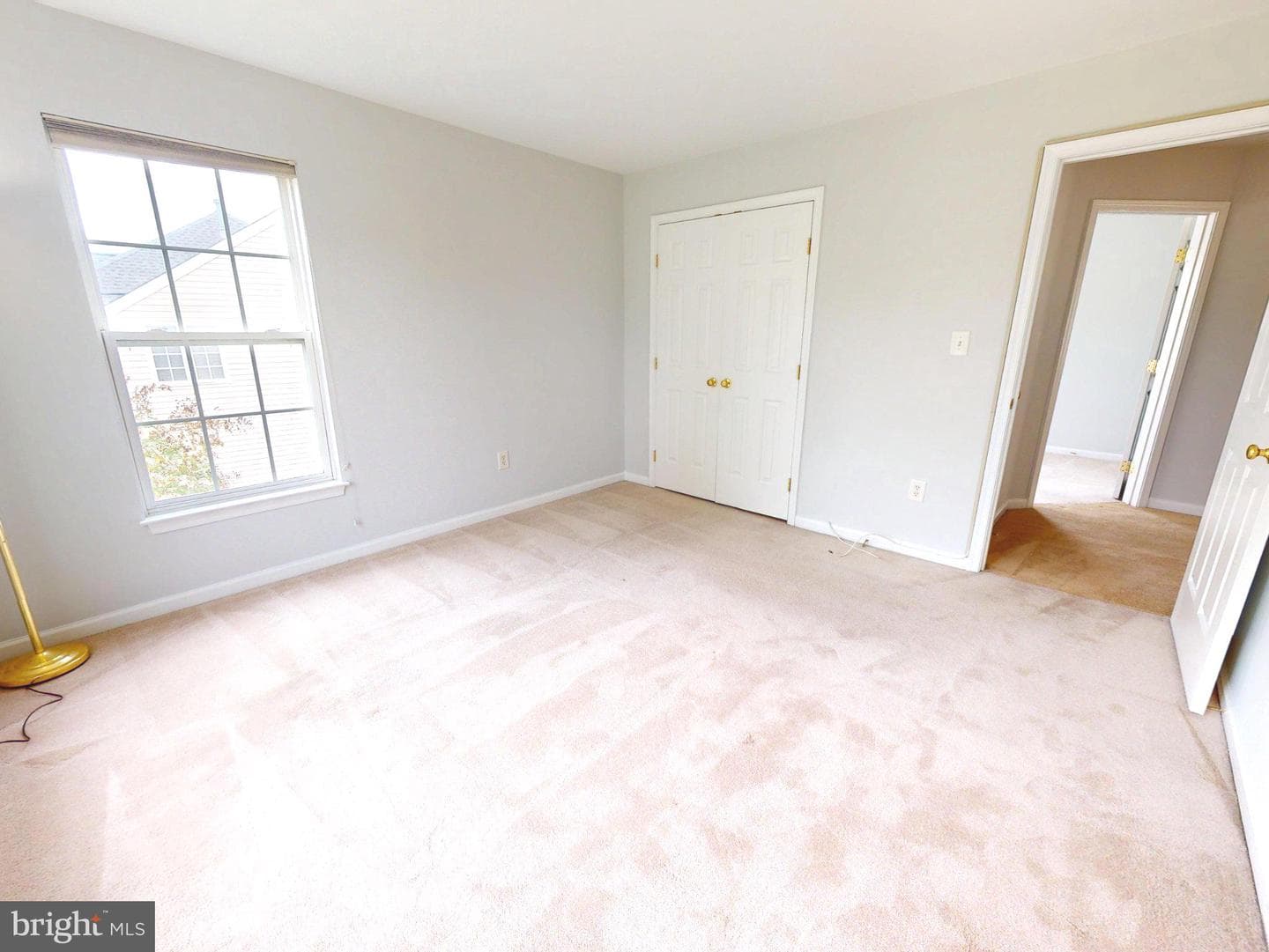 1100 Andean Goose Way photo 28