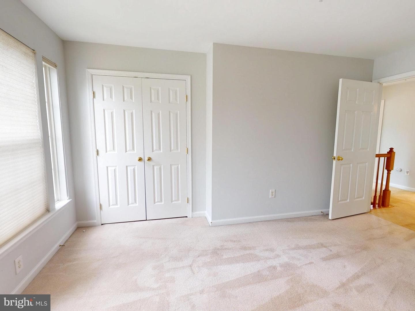 1100 Andean Goose Way photo 29