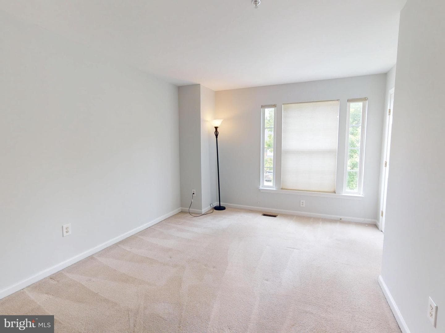 1100 Andean Goose Way photo 30